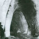 Becker Cave entrance